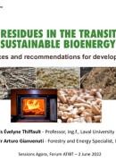 Potential of wood residues for a transition to modern and sustainable bioenergy