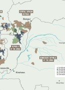 Carte des concessions forestières dans le Bassin du Congo