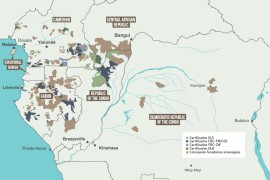 Map of forest concessions in the Congo Basin