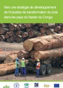 Vers une stratégie de développement de l’industrie de transformation du bois dans les pays du bassin du Congo