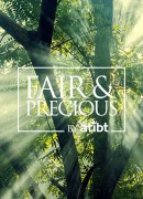 Videos on FAIR&PRECIOUS website