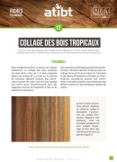 12. Collage des bois tropicaux