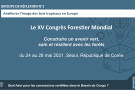 Participation au Congrès Forestier Mondial