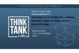 Certification, politique forestières, enjeux et risques dans le bassin du Congo