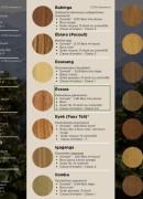Brochure LKTS (Lesser Known Timber Species)