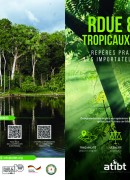 RDUE & Bois tropicaux certifiés : Repères pratiques pour les importateurs européens